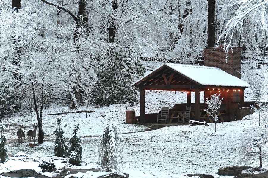 Two deer don’t mind the snow